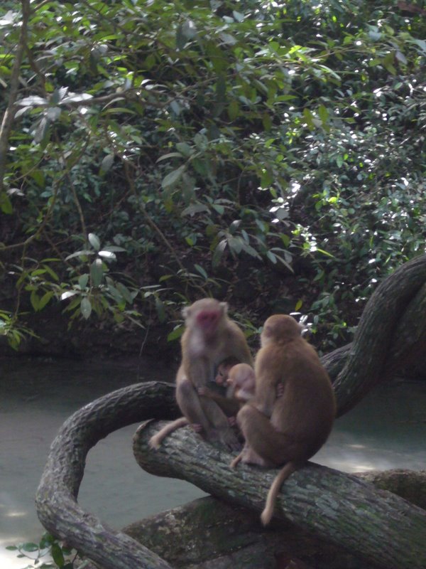 Travel - Thailand - Kanchanaburi - National Park